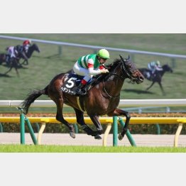 【武田の土曜競馬コラム・日本海Ｓ】｜武田記者 データがベース