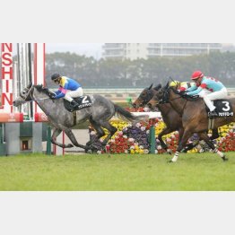 【橘の土曜競馬コラム・豊明Ｓ】｜鬼才・橘 万券アタック