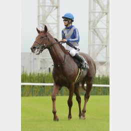 【播磨の土曜競馬コラム・四日市特別】｜播磨政勝 競馬道楽