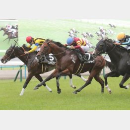 【勝羽の土曜競馬コラム・豊明Ｓ】｜勝羽太郎 情報ノート