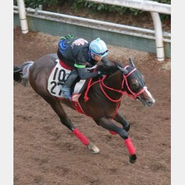 【マリナの日曜競馬コラム・ＣＢＣ賞】｜マリナ くノ一的中術