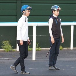 【木津の日曜競馬コラム・札幌記念】｜ホースマン直撃