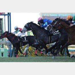 【橘の日曜競馬コラム・ＣＢＣ賞】｜鬼才・橘 万券アタック