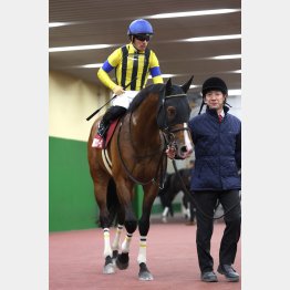 【播磨の日曜競馬コラム・札幌記念】｜播磨政勝 競馬道楽