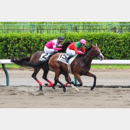 【レスキュー隊の日曜競馬コラム・中京12Ｒ】｜最終レスキュー 最後にアナタを助…