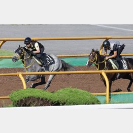 エトヴプレは楽に３馬身先着