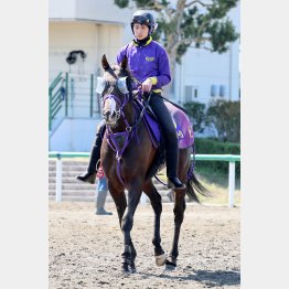 【亀井の土曜競馬コラム・ＷＡＳＪ第２戦】｜亀井記者の血統ロックオン