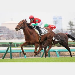 【木津の土曜競馬コラム・ＷＡＳＪ第２戦】｜ホースマン直撃