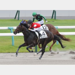 前走は②着に2馬身差の快勝