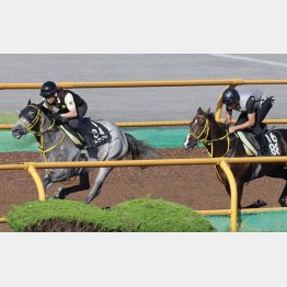 相手を一気に突き放した