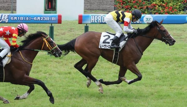 【橘の土曜競馬コラム・札幌２歳Ｓ】｜鬼才・橘 万券アタック