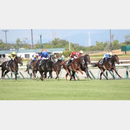 前走も④着とはいえ差のない競馬（右から２頭目）