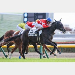 昨秋の東京で新馬勝ち