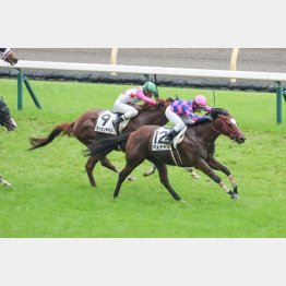 昨年６月の東京で１勝クラスをクリア