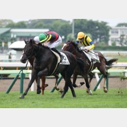 初戦は稍重馬場だった