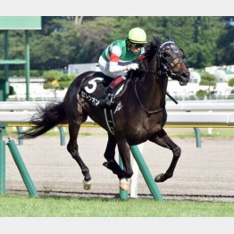 新潟で阿賀野川特別勝ち