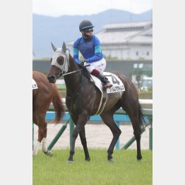 【レスキュー隊の日曜競馬コラム・中京12Ｒ】｜最終レスキュー 最後にアナタを助…