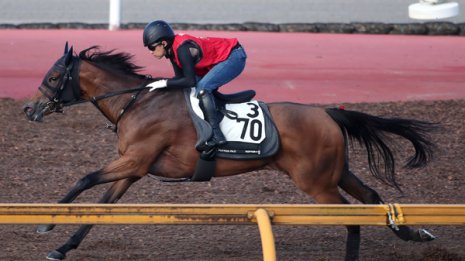 【新潟記念】エーデルブルーメ勝負師川田、きっちり差す｜ミスターＸの帯封ミッション