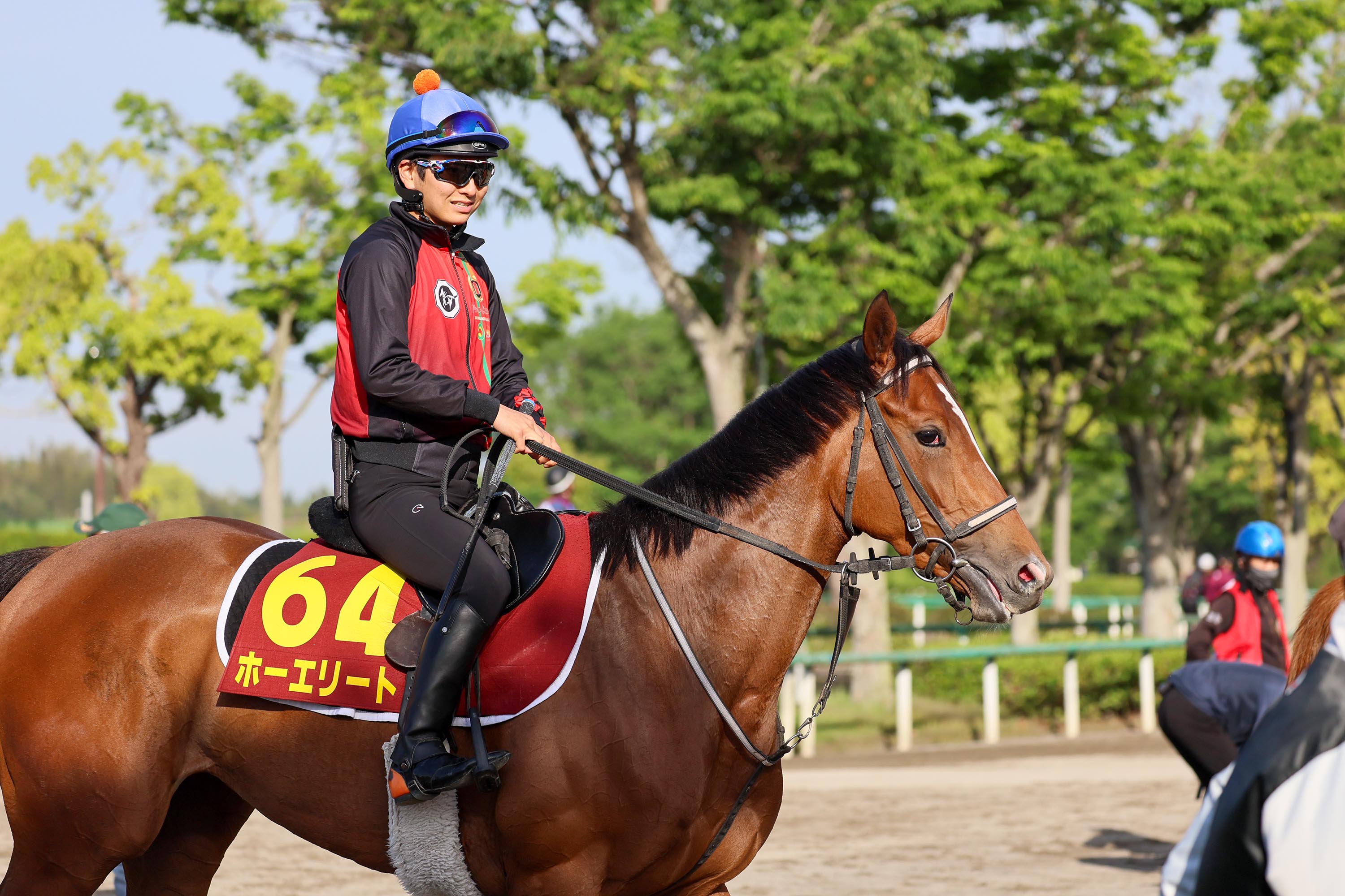 【亀井の土曜競馬コラム・紫苑Ｓ】｜亀井記者の血統ロックオン