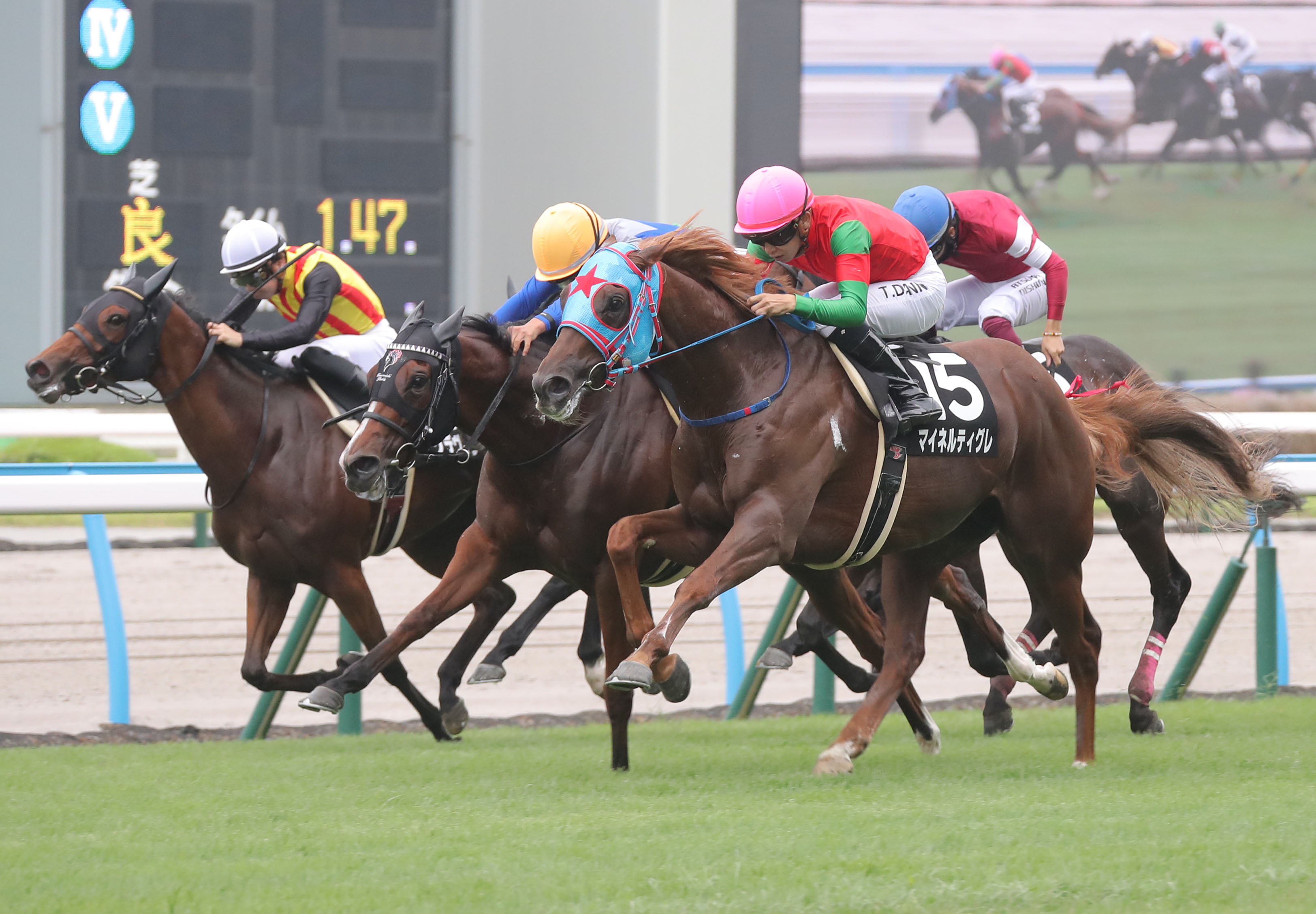 【新谷の土曜競馬コラム・浜名湖特別】｜新谷式レースレート 数字が走る