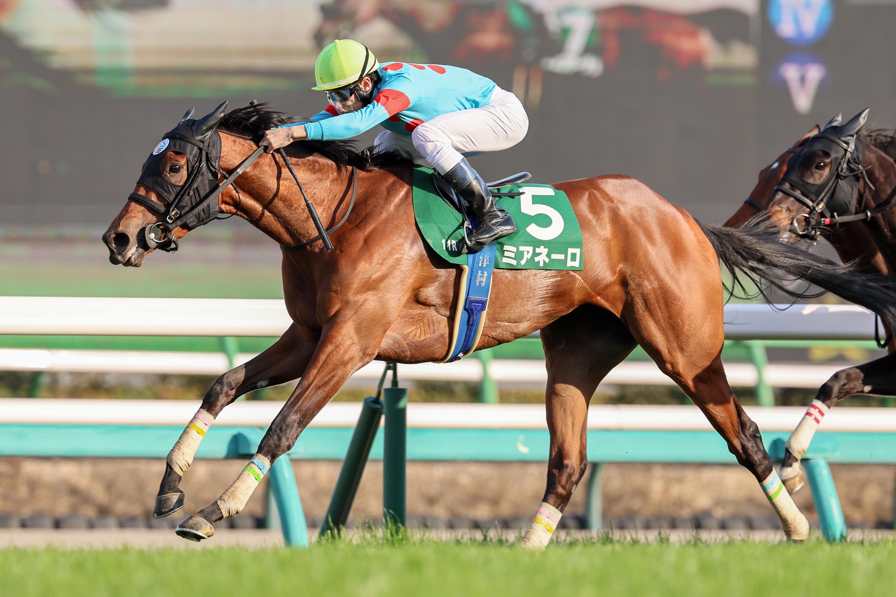 【勝羽の土曜競馬コラム・紫苑Ｓ】｜勝羽太郎 情報ノート