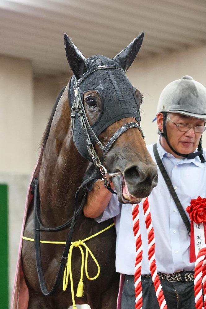 【マリナの日曜競馬コラム・セントウルＳ】｜マリナ くノ一的中術