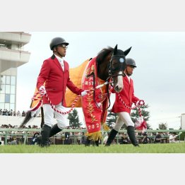 【市川の日曜競馬コラム・セントウルＳ】｜市川が人気馬を斬る