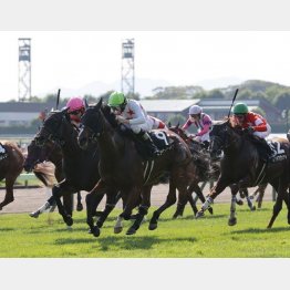 【飯島の日曜競馬コラム・セプテンバーＳ】｜飯島の１日１鞍