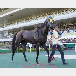 重賞勝ち馬が武豊を背に２勝目を