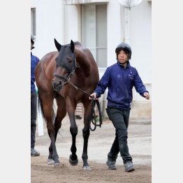 【橘の日曜競馬コラム・セントウルＳ】｜鬼才・橘 万券アタック