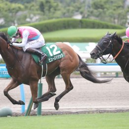 【播磨の日曜競馬コラム・セントウルＳ】