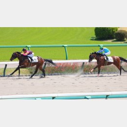 快速馬インビンシブルパパが３連勝を決める⁉