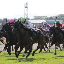 【東京本紙・外山の日曜中山10Ｒ】