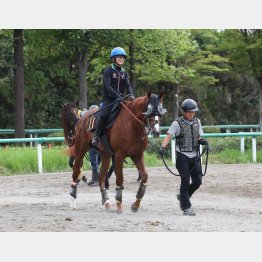 【セントライト記念】陣営直撃 アーバンシック逆襲だ