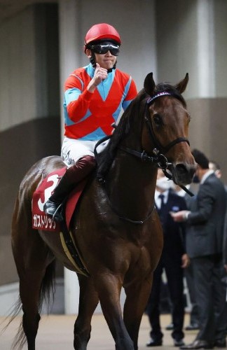 【飯島の土曜競馬コラム・ケフェウスＳ】｜飯島の１日１鞍