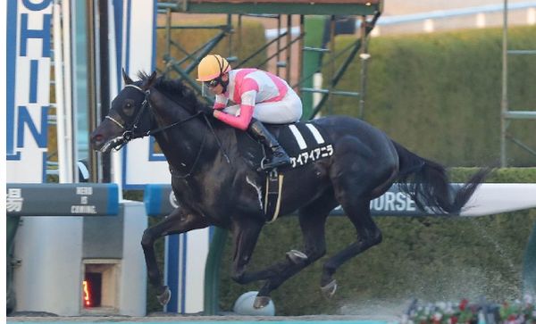 【武田の土曜競馬コラム・初風Ｓ】｜武田記者 データがベース