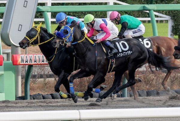 【橘の土曜競馬コラム・初風Ｓ】｜鬼才・橘 万券アタック