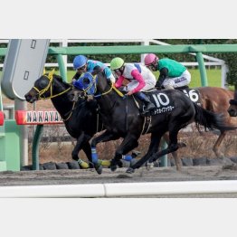 この舞台で舞浜特別を勝利