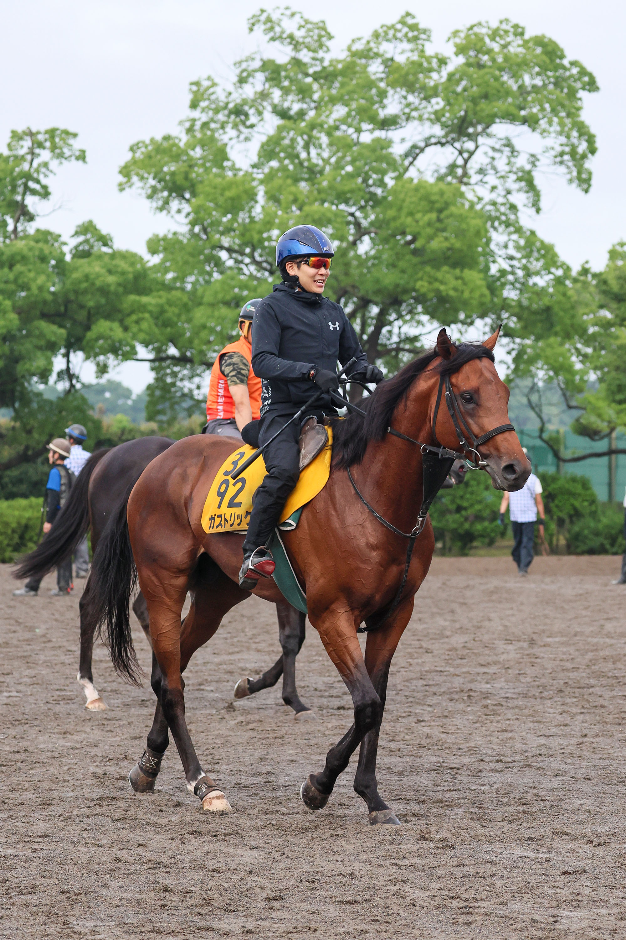 【播磨の土曜競馬コラム・ケフェウスＳ】｜播磨政勝 競馬道楽