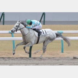 ４走前、鮮やかな差し切り勝ち