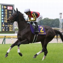 【市川の日曜競馬コラム・ローズＳ】