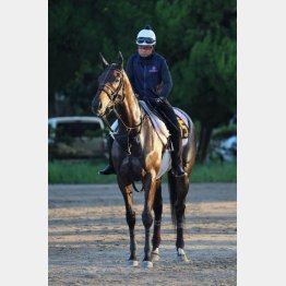 【飯島の日曜競馬コラム・中山６Ｒ】｜飯島の１日１鞍