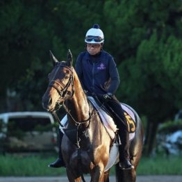 【飯島の日曜競馬コラム・中山６Ｒ】