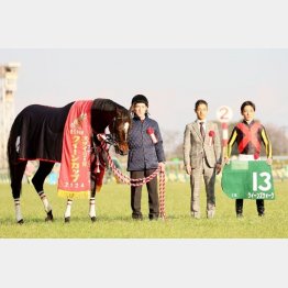 【武田の日曜競馬コラム・ローズＳ】｜武田記者 データがベース