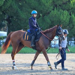 気性が大きく成長