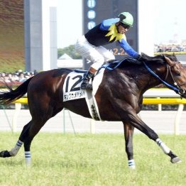 【市川の月曜競馬コラム・セントライト記念】