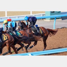 【飯島の月曜競馬コラム・セントライト記念】｜飯島の１日１鞍