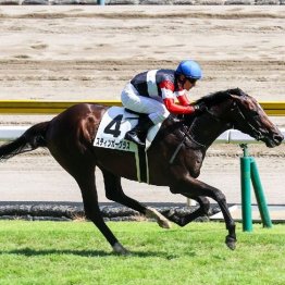 【大谷の月曜競馬コラム・セントライト記念】