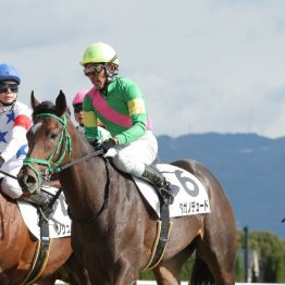 【橘の月曜競馬コラム・セントライト記念】