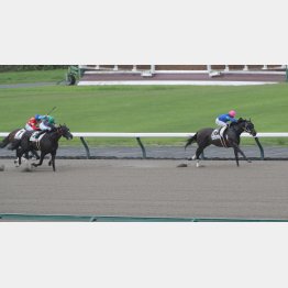 【レスキュー隊の日曜競馬コラム・中京12Ｒ】｜最終レスキュー 最後にアナタを助…